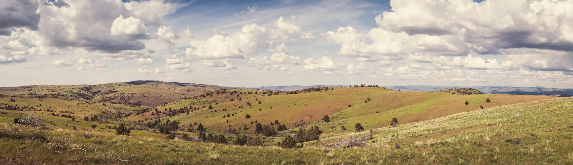 150525_Oregon_Outback_224-Pano.jpg