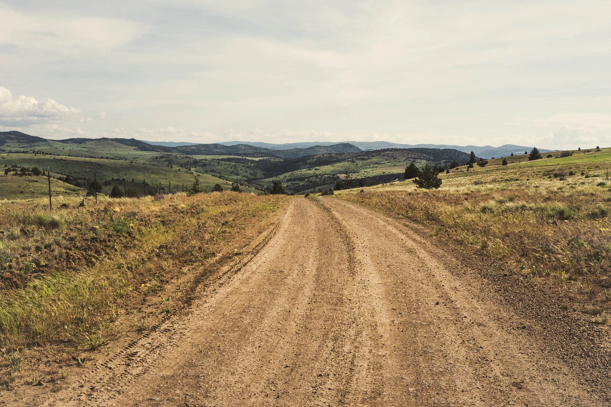 150525_Oregon_Outback_235.jpg