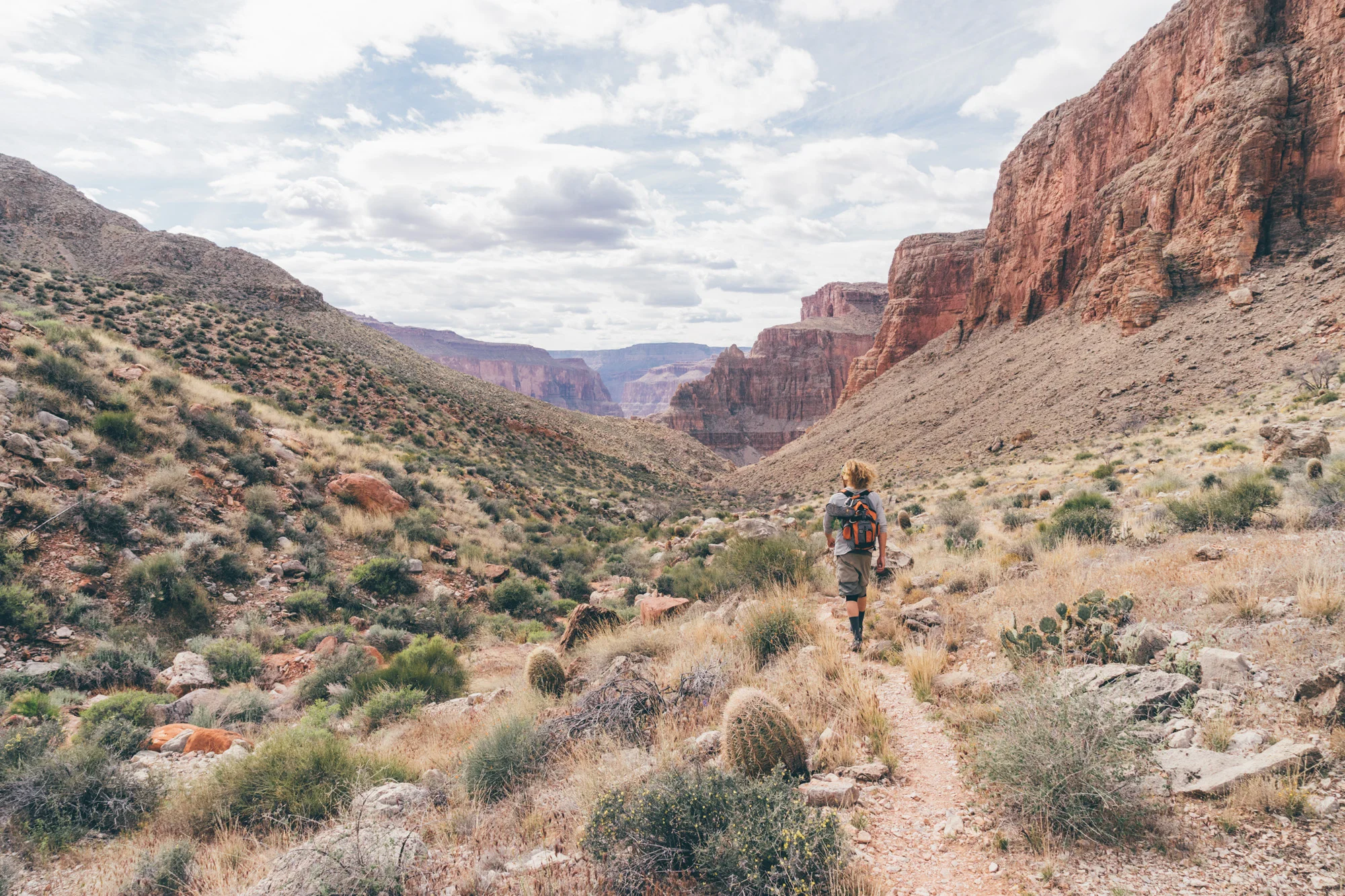 160319_Grand_Canyon_2954.jpg