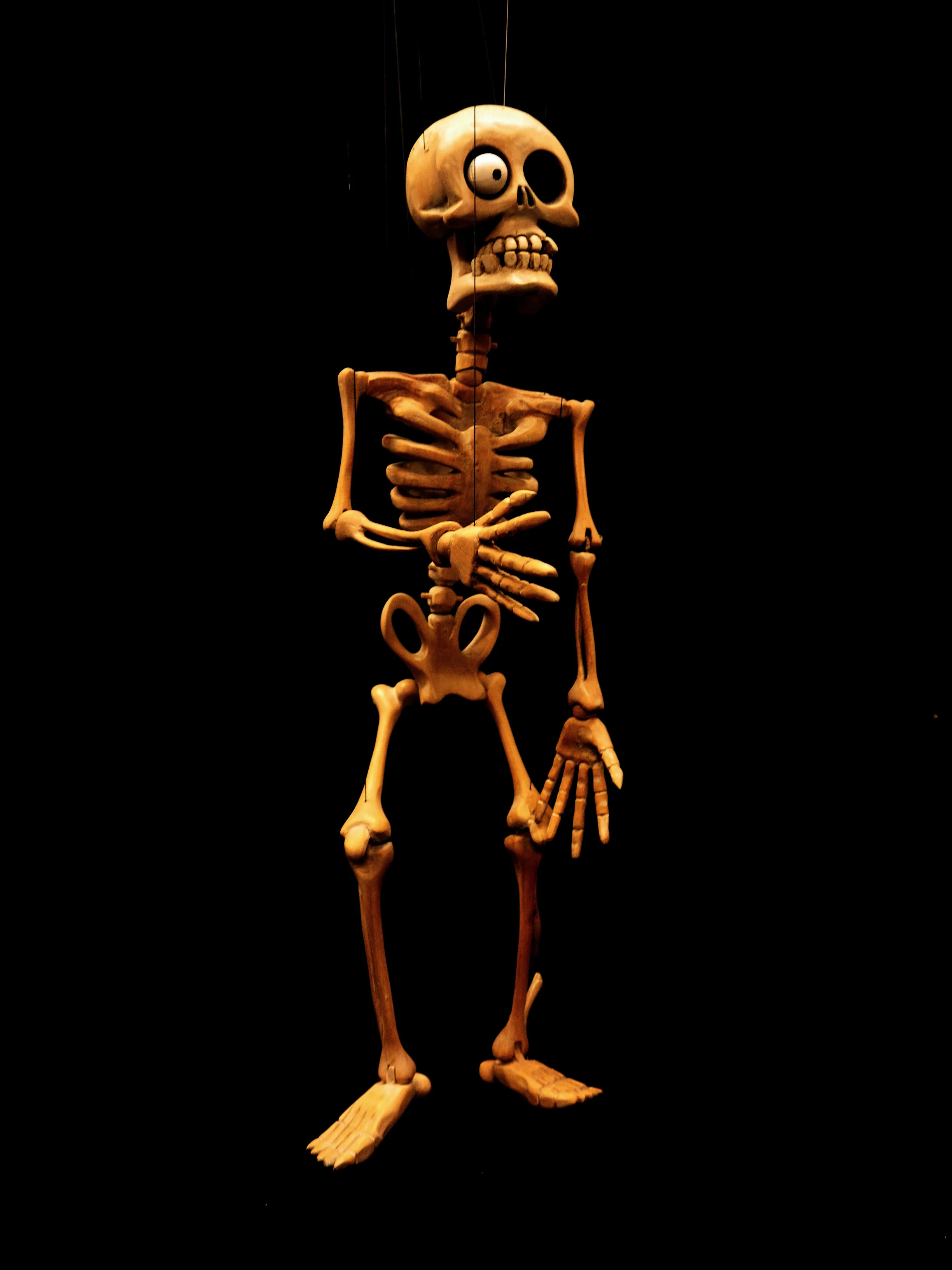 Skeleton_1.jpg