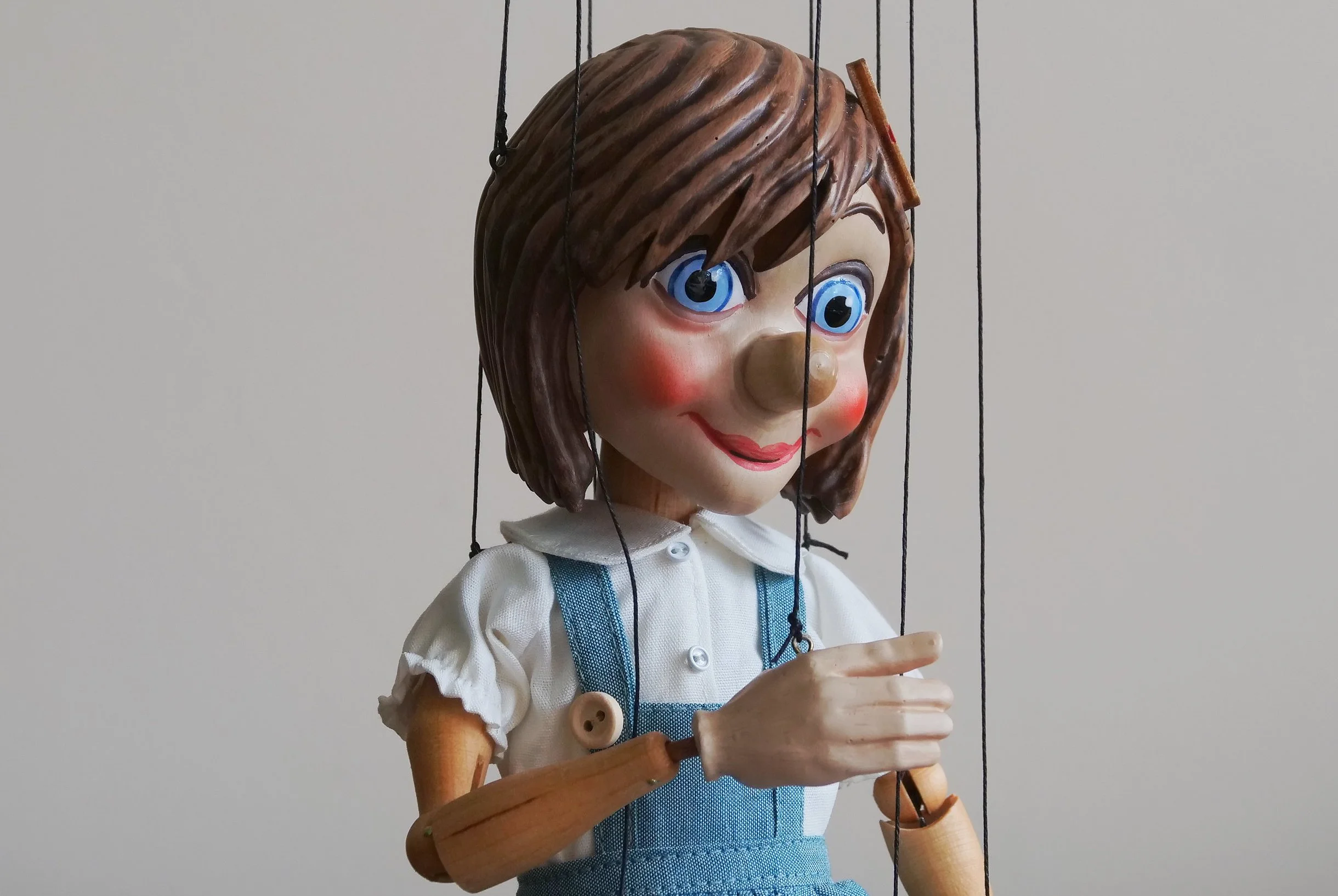 Medium — Company of Puppet Shop