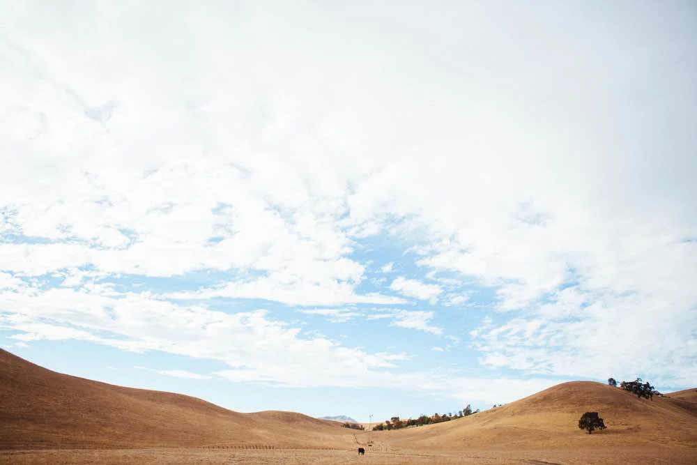 Healthy Weekending in the Tri-Valley