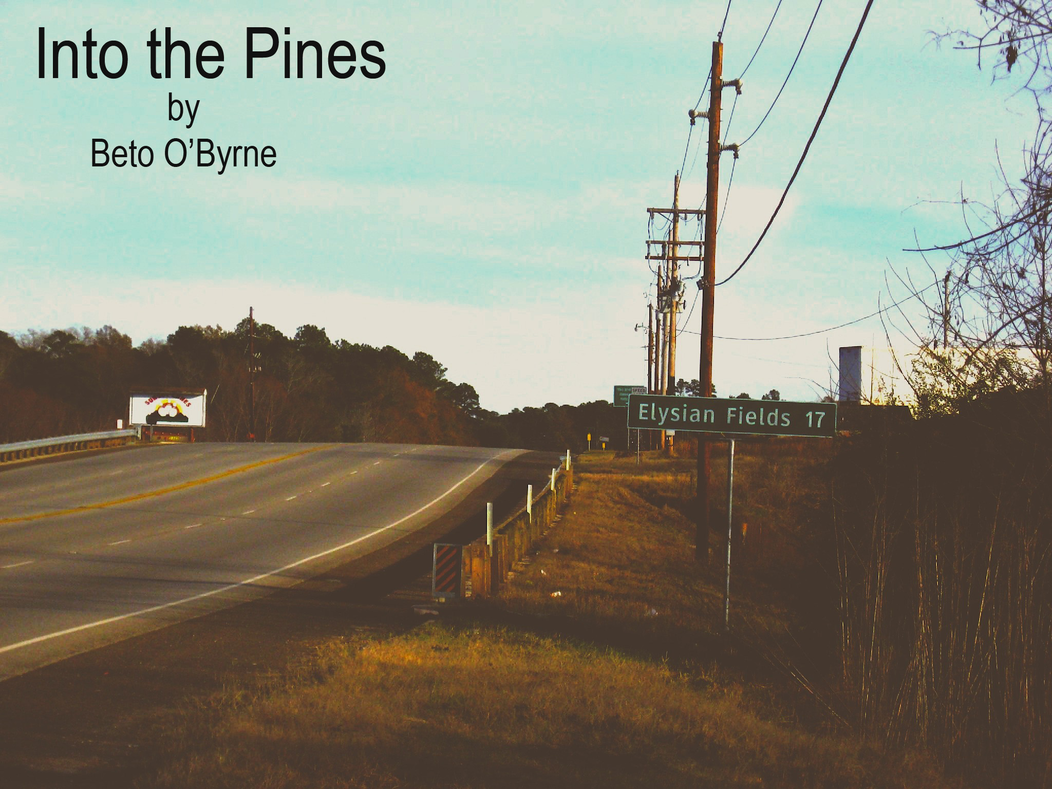 Into the Pines