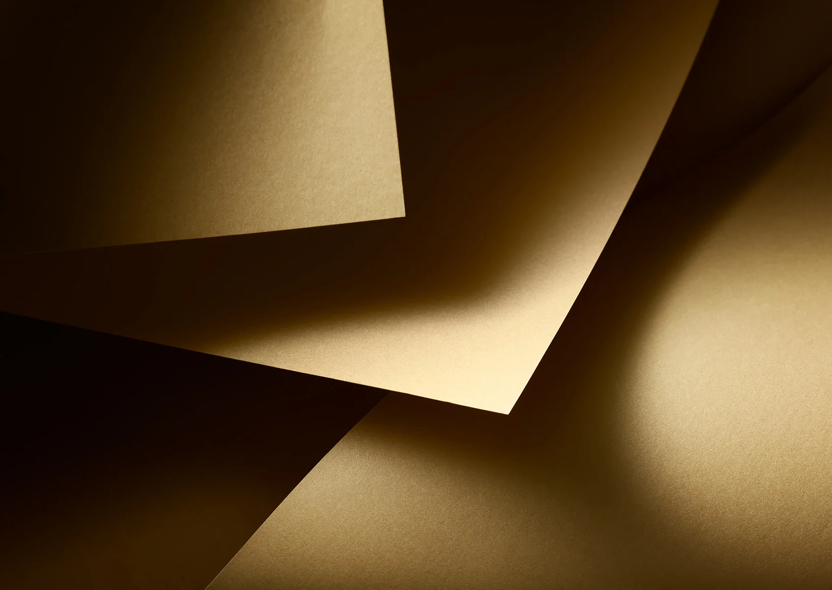 20190930_EGET_Portfolio_16234.jpg