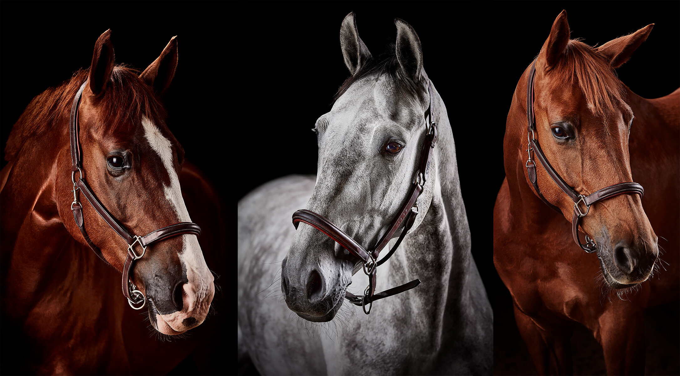 Rapidsrock_Portraits.jpg