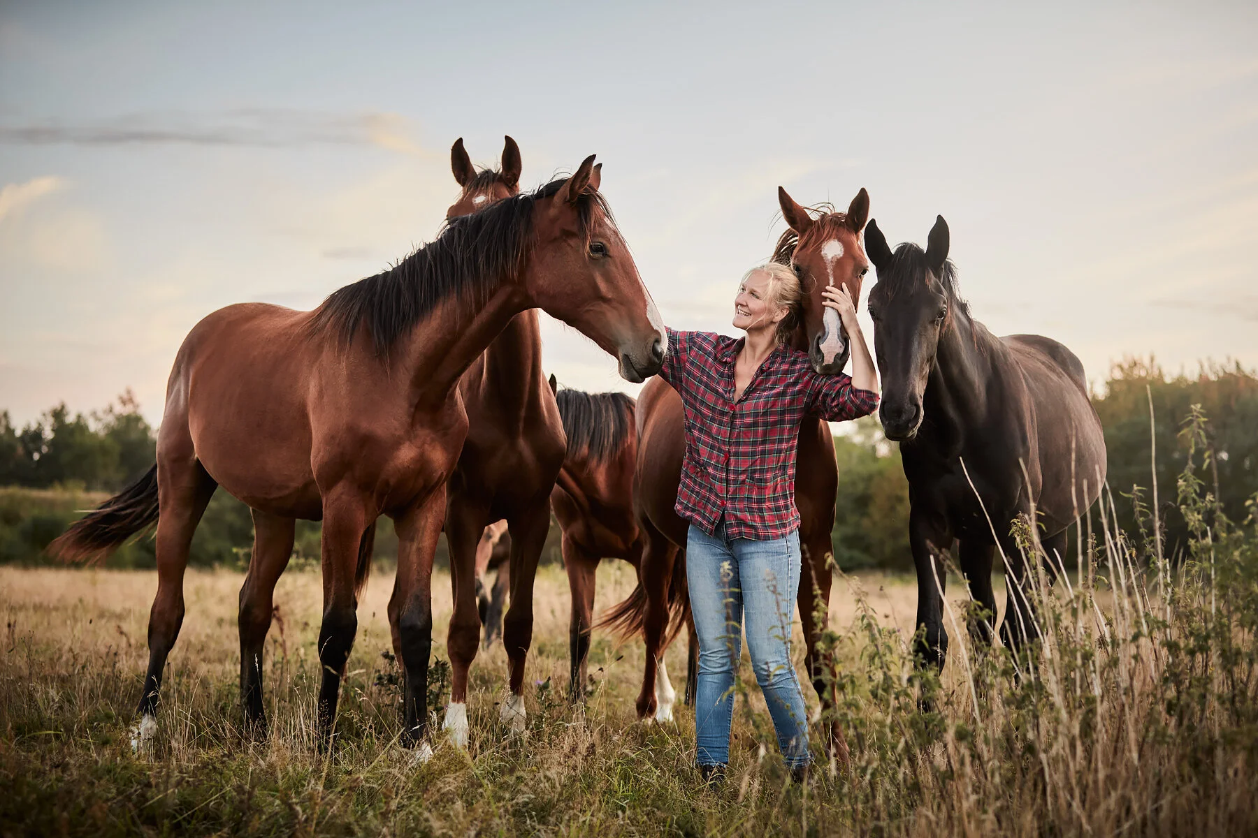 20200822_RAPIDSROCK_Horses__P3A4333.jpg