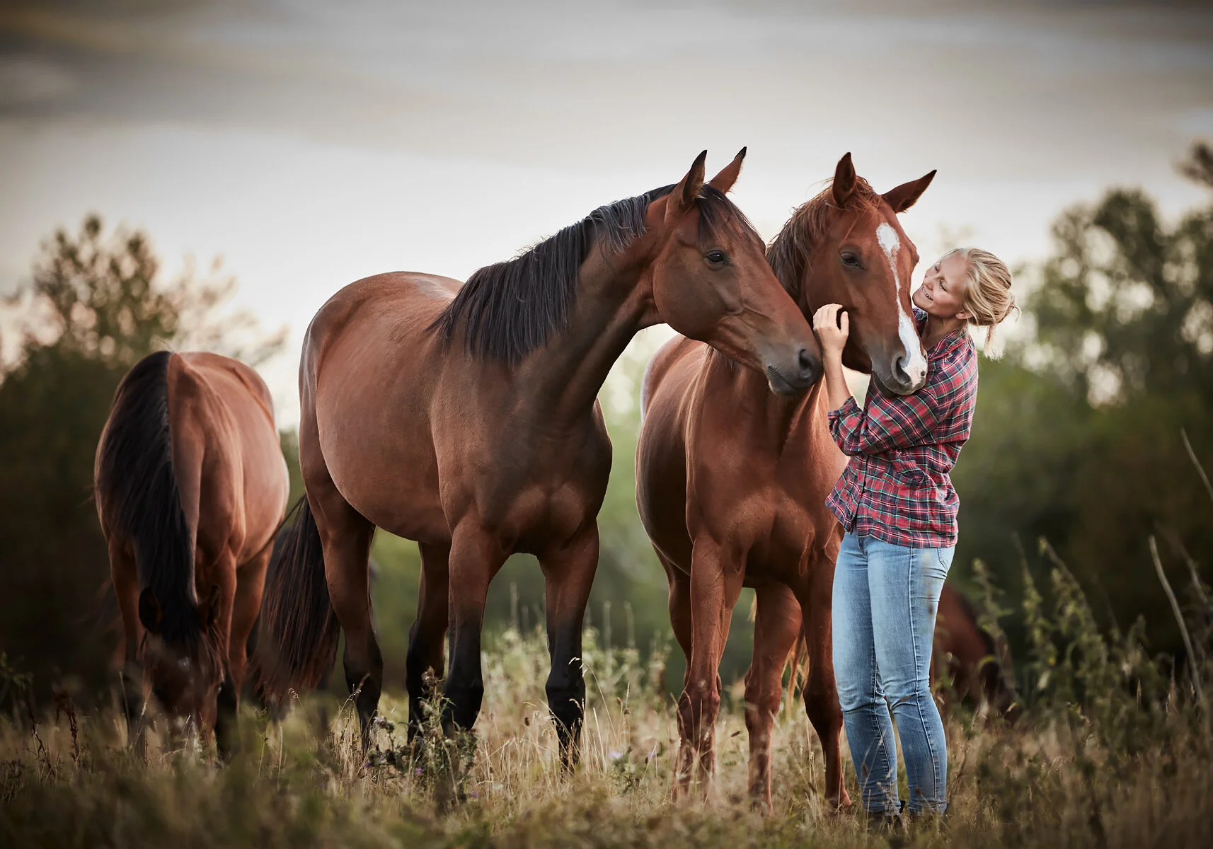 20200822_RAPIDSROCK_Horses__P3A4310.jpg