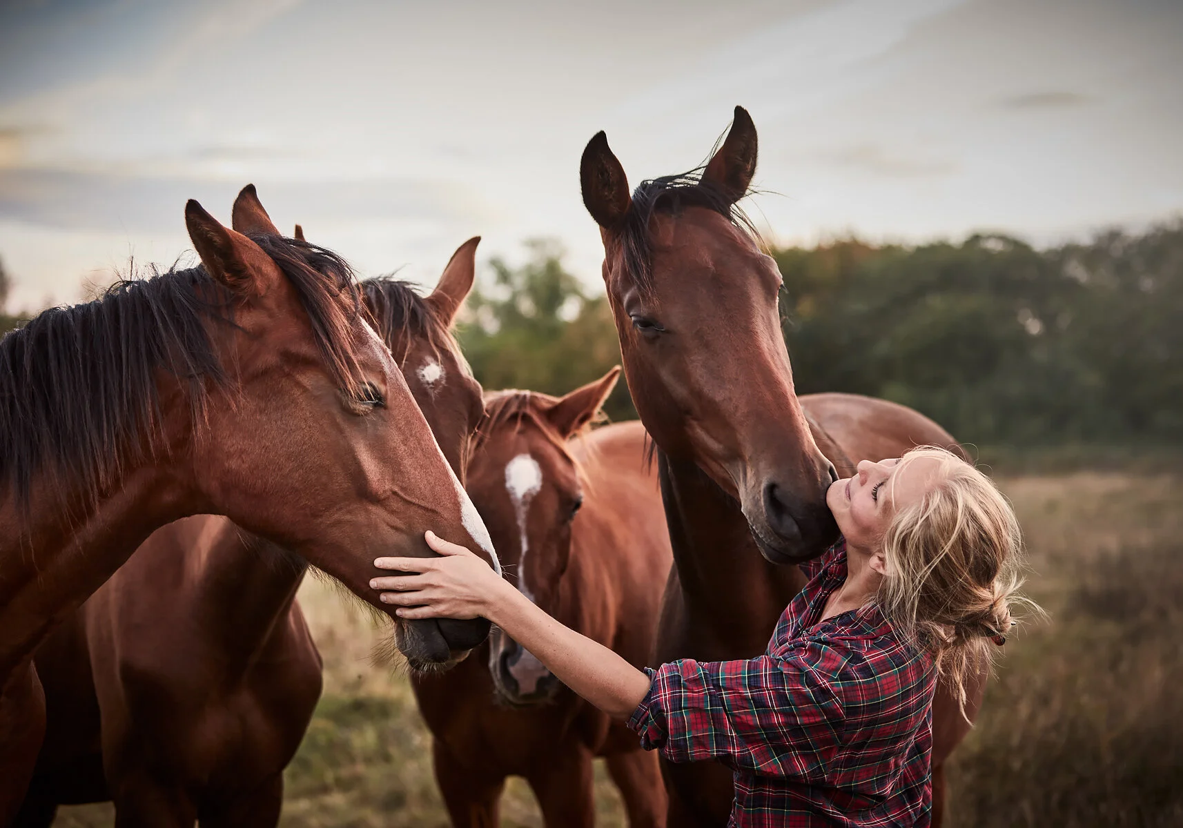 20200822_RAPIDSROCK_Horses__P3A4334.jpg