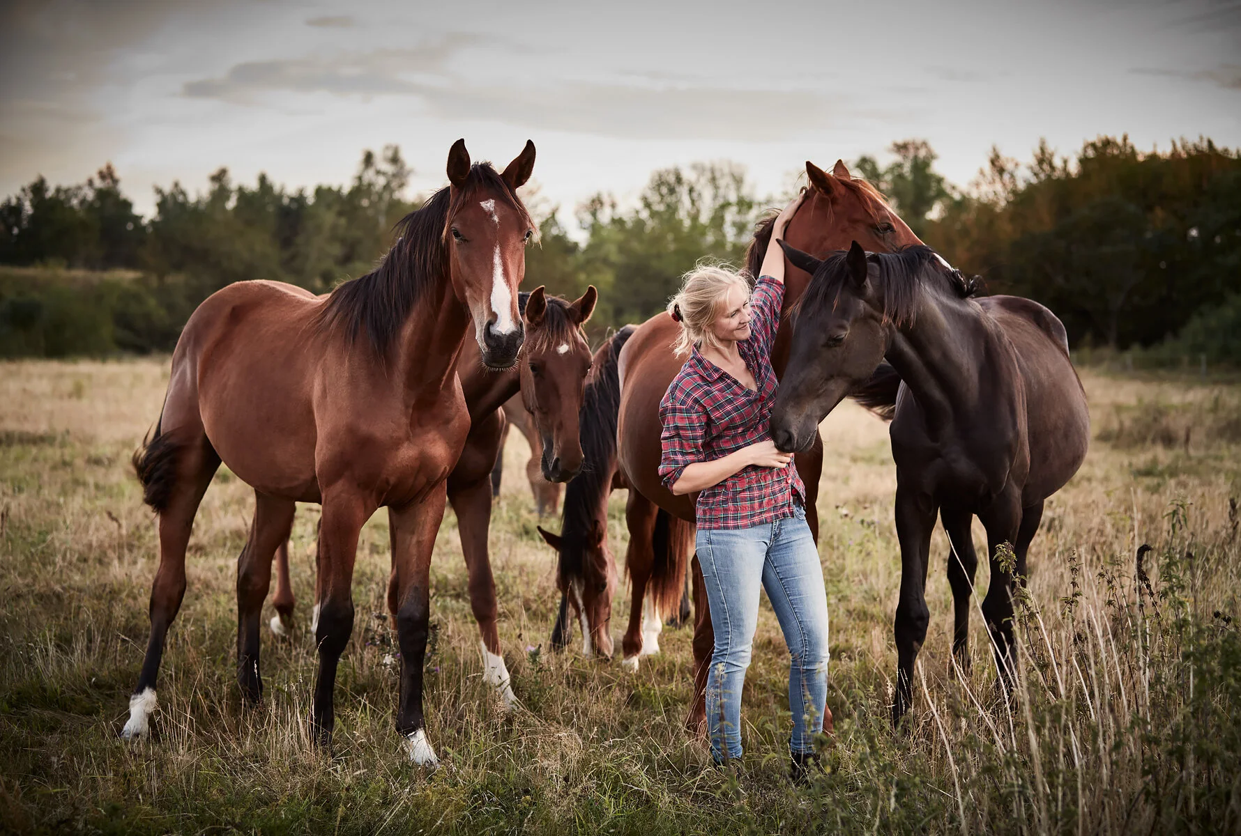 20200822_RAPIDSROCK_Horses__P3A4326.jpg