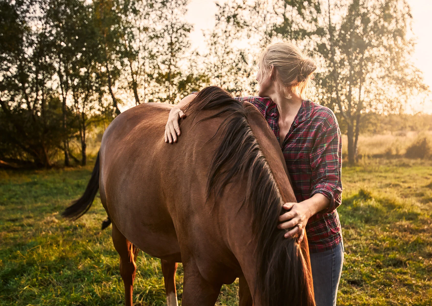 20200822_RAPIDSROCK_Horses__Q8A5103.jpg