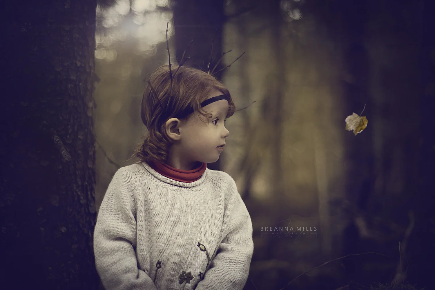 CordovaAlaskaChildPhotographerBreannaMillsPhotography.jpg
