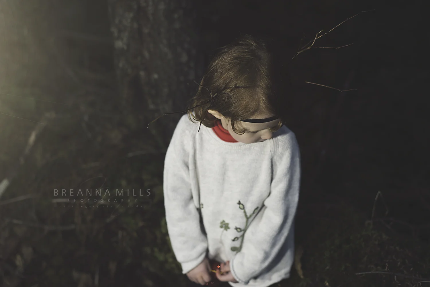 CordovaAlaskaChildPhotographerBreannaMillsPhotography.jpg