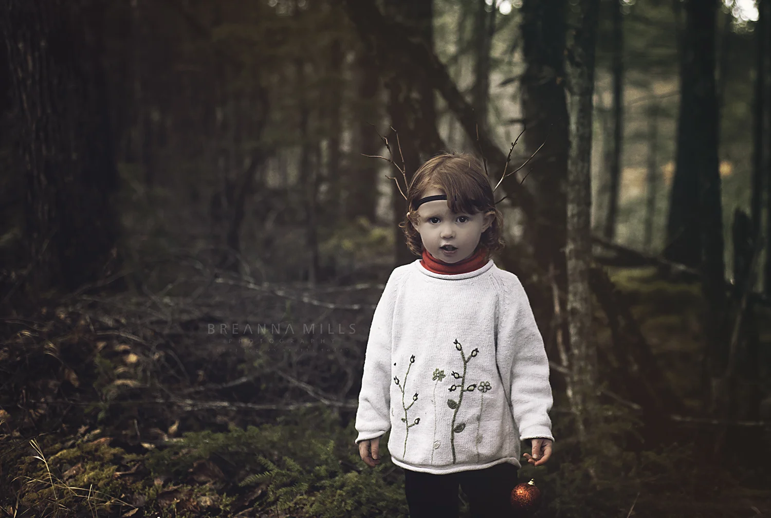 CordovaAlaskaChildPhotographerBreannaMillsPhotography.jpg