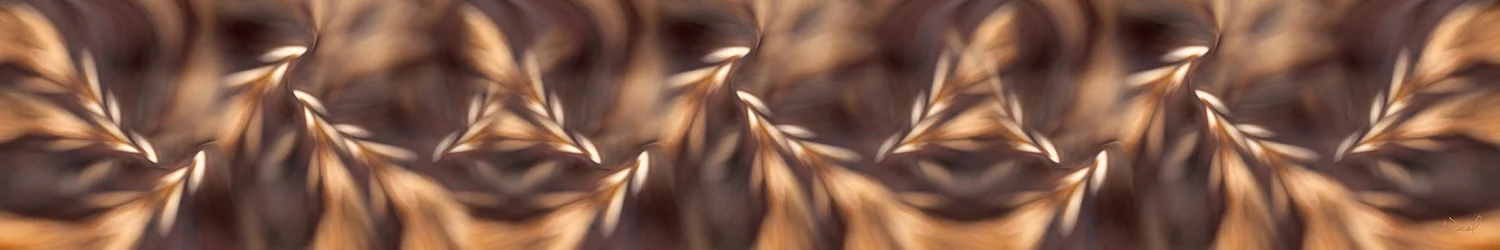 sheafs of wheat.jpg