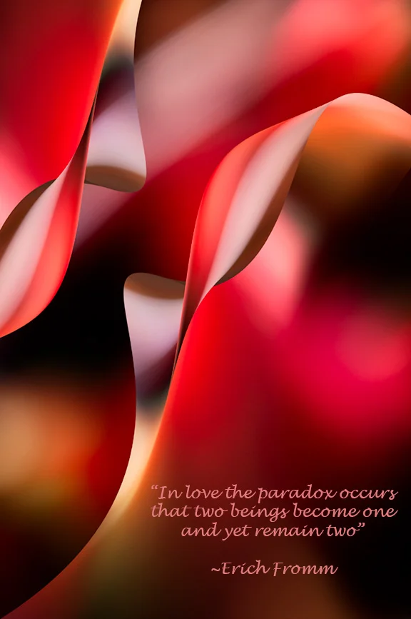 The Paradox of Love...