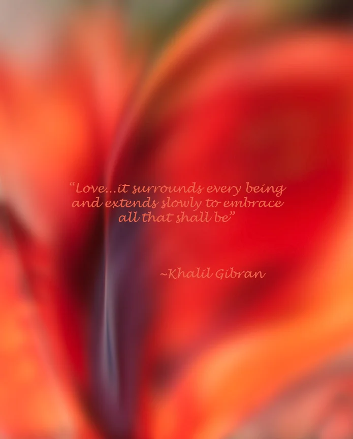 ©Kathy Beal All Rights Reserved