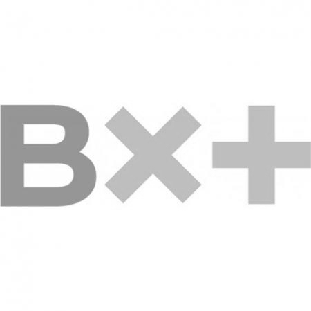 BX-logo.jpg