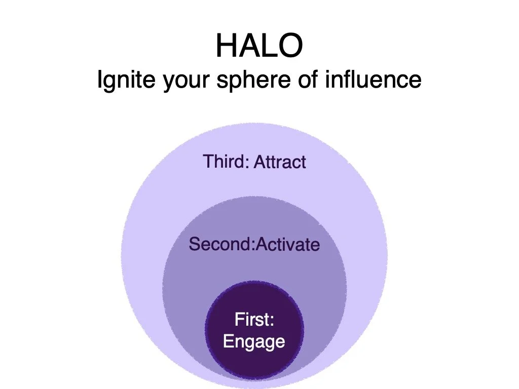 high fidelity halo