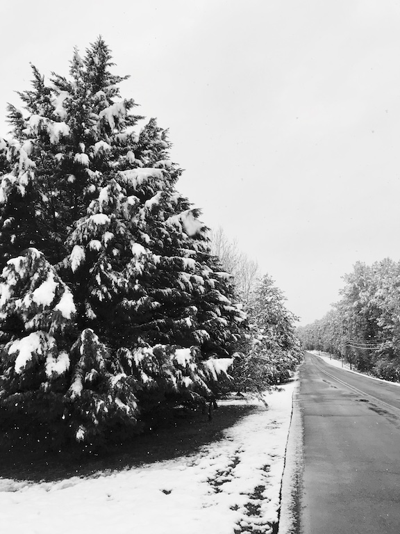 THE ALL-DAY SNOW