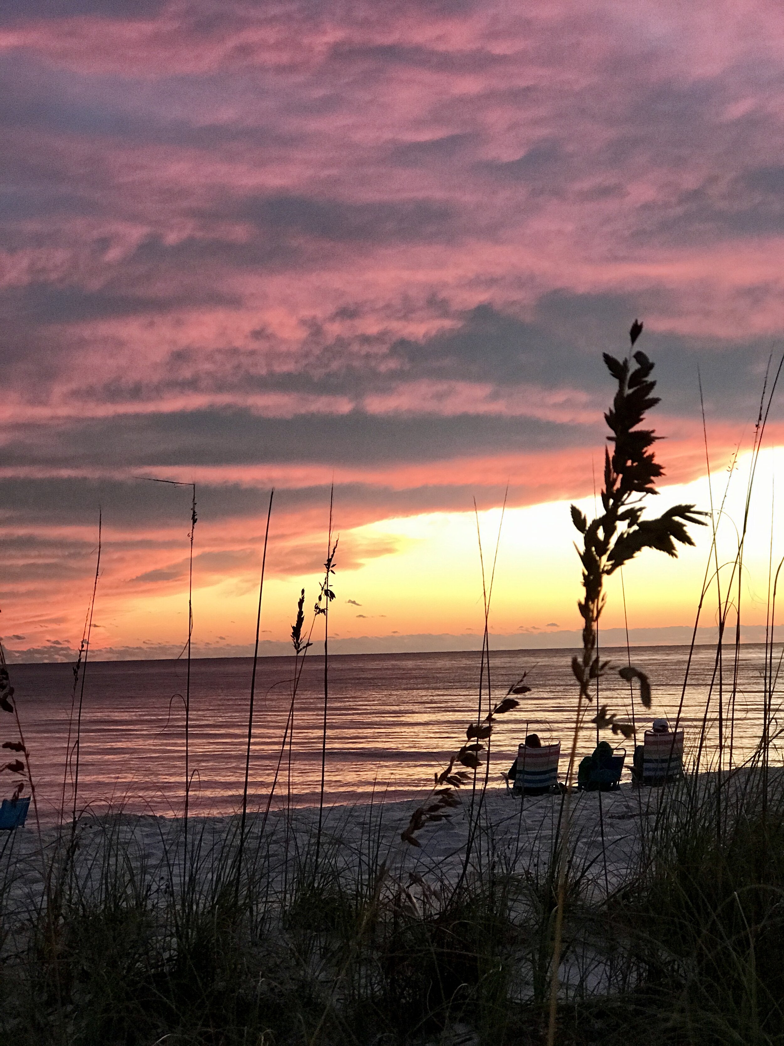 Sunset + Sea Oats