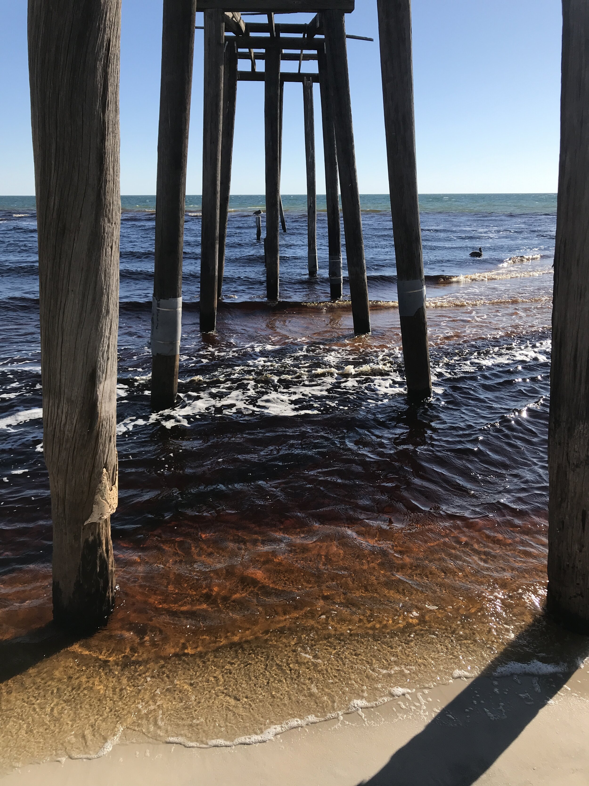 Pier + Water