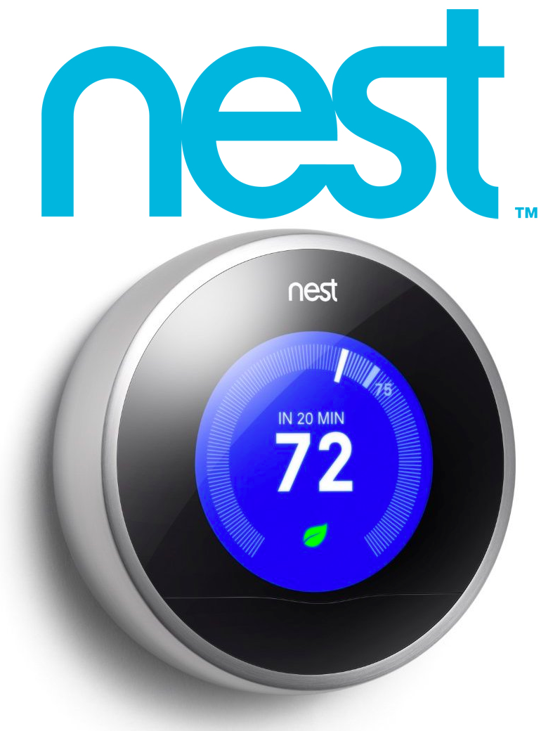 nest.png