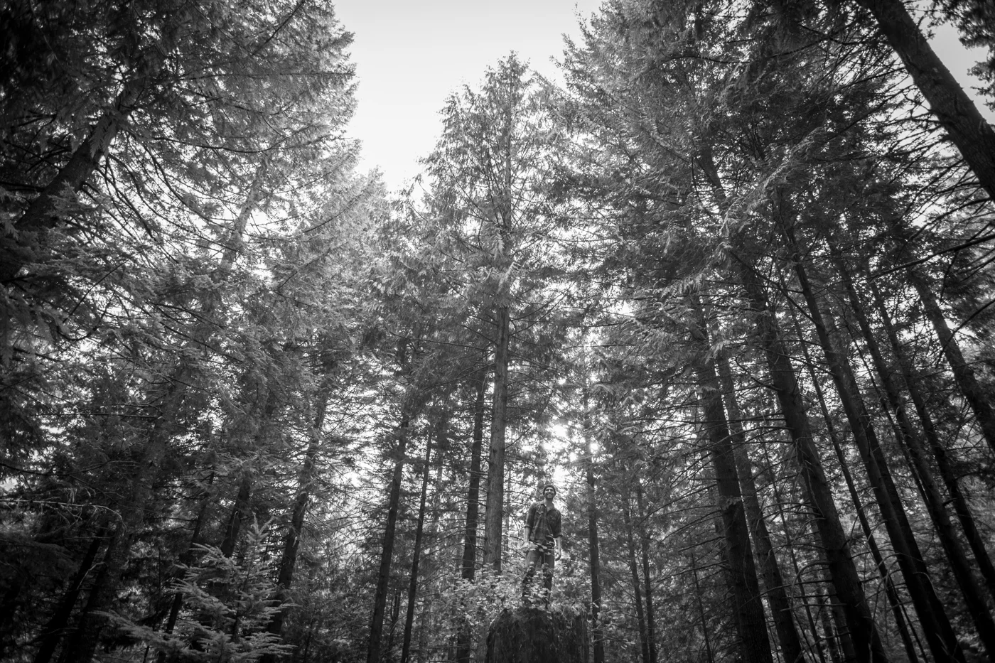 _MG_7371.jpg