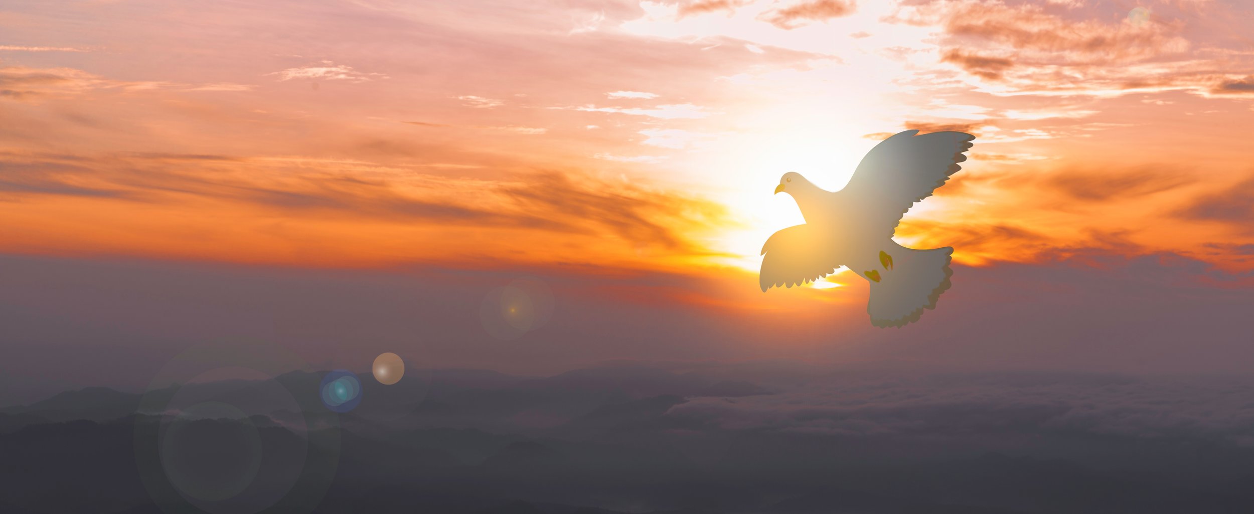 AdobeStock_533254024.jpeg