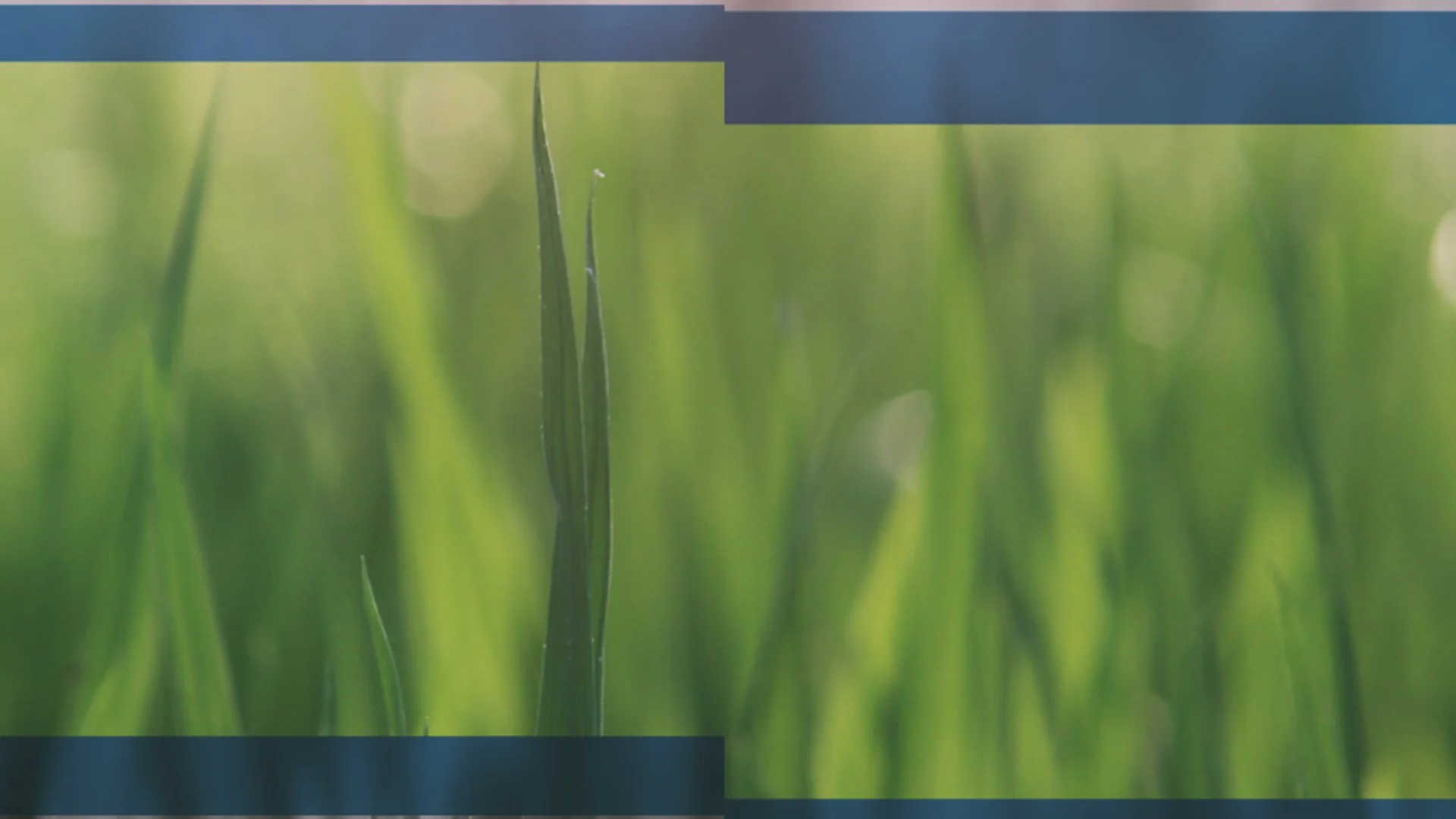 online worship — First United Methodist Church, Cedar Falls