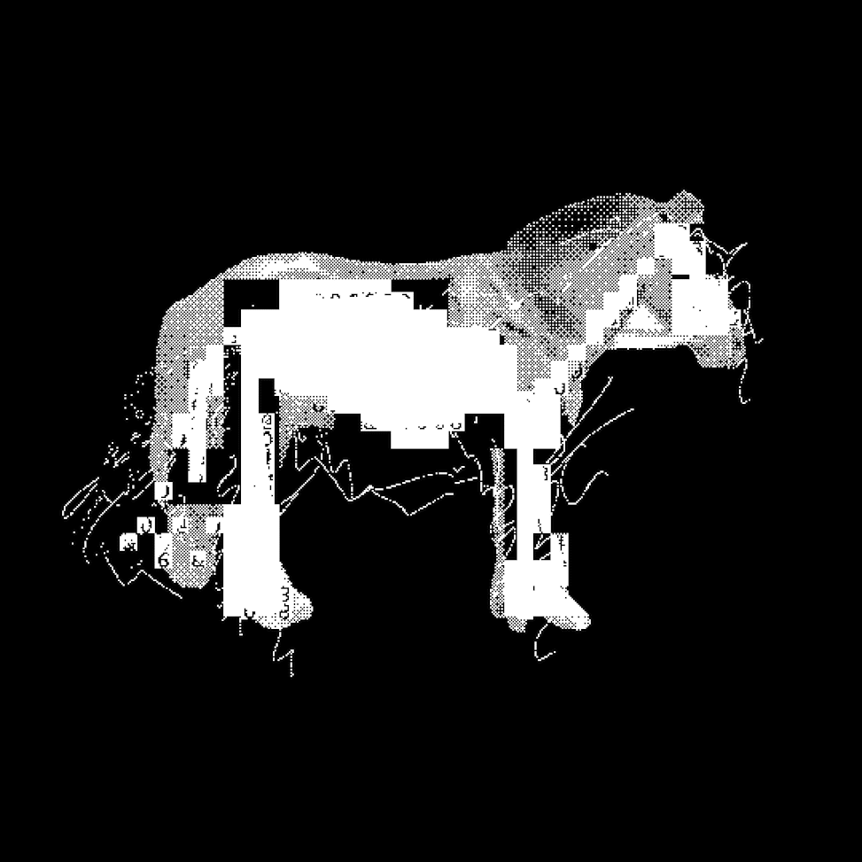 animal.gif