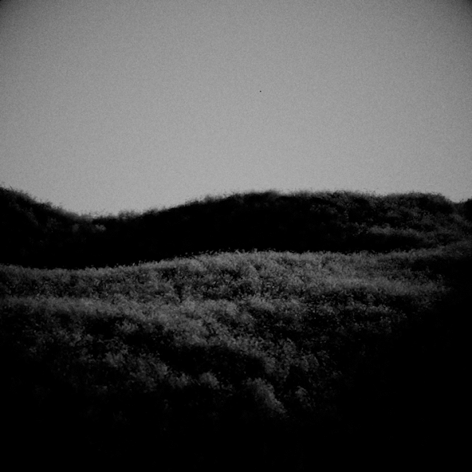 footage_2.gif