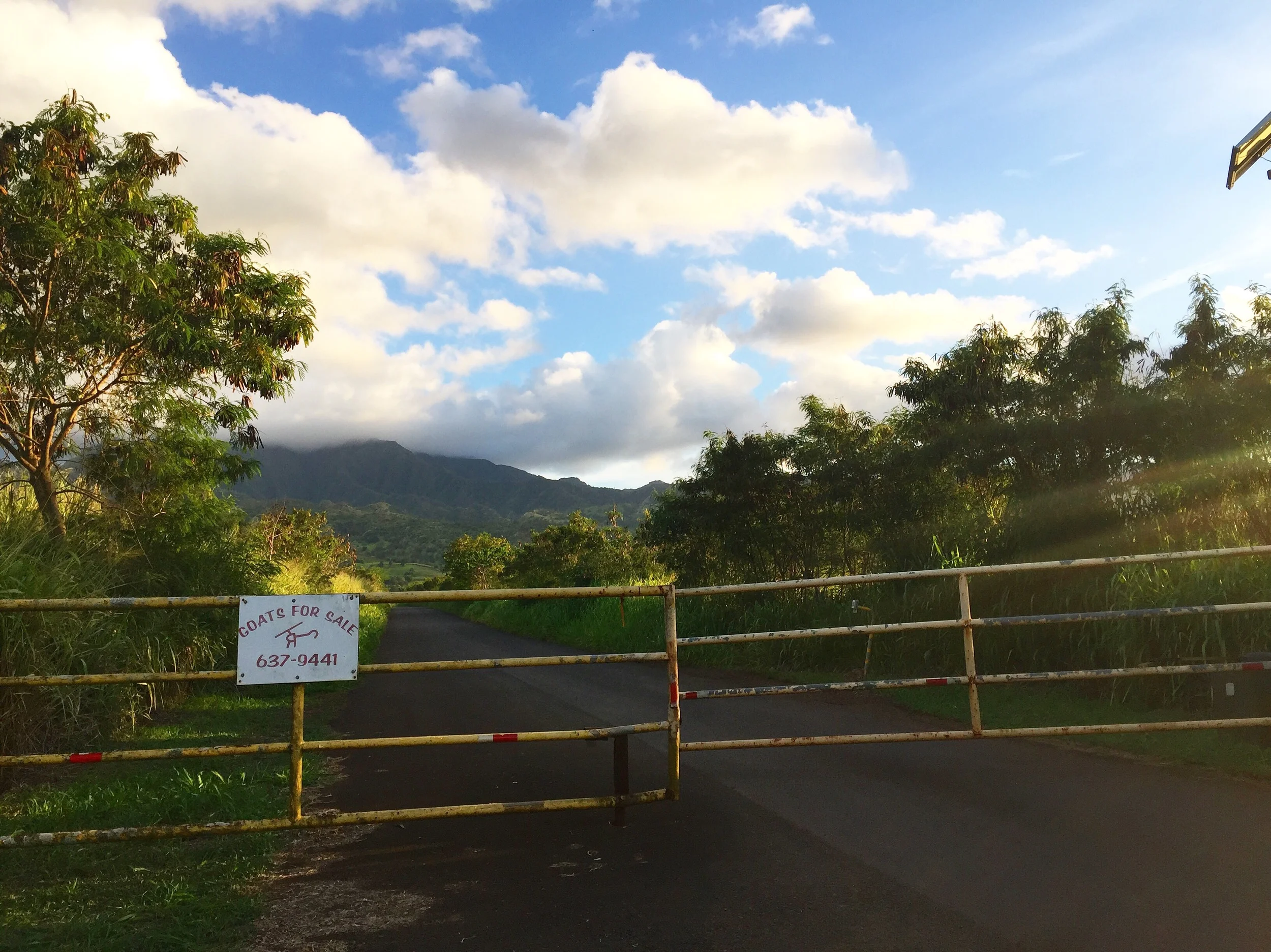 Entrance to our camp. 