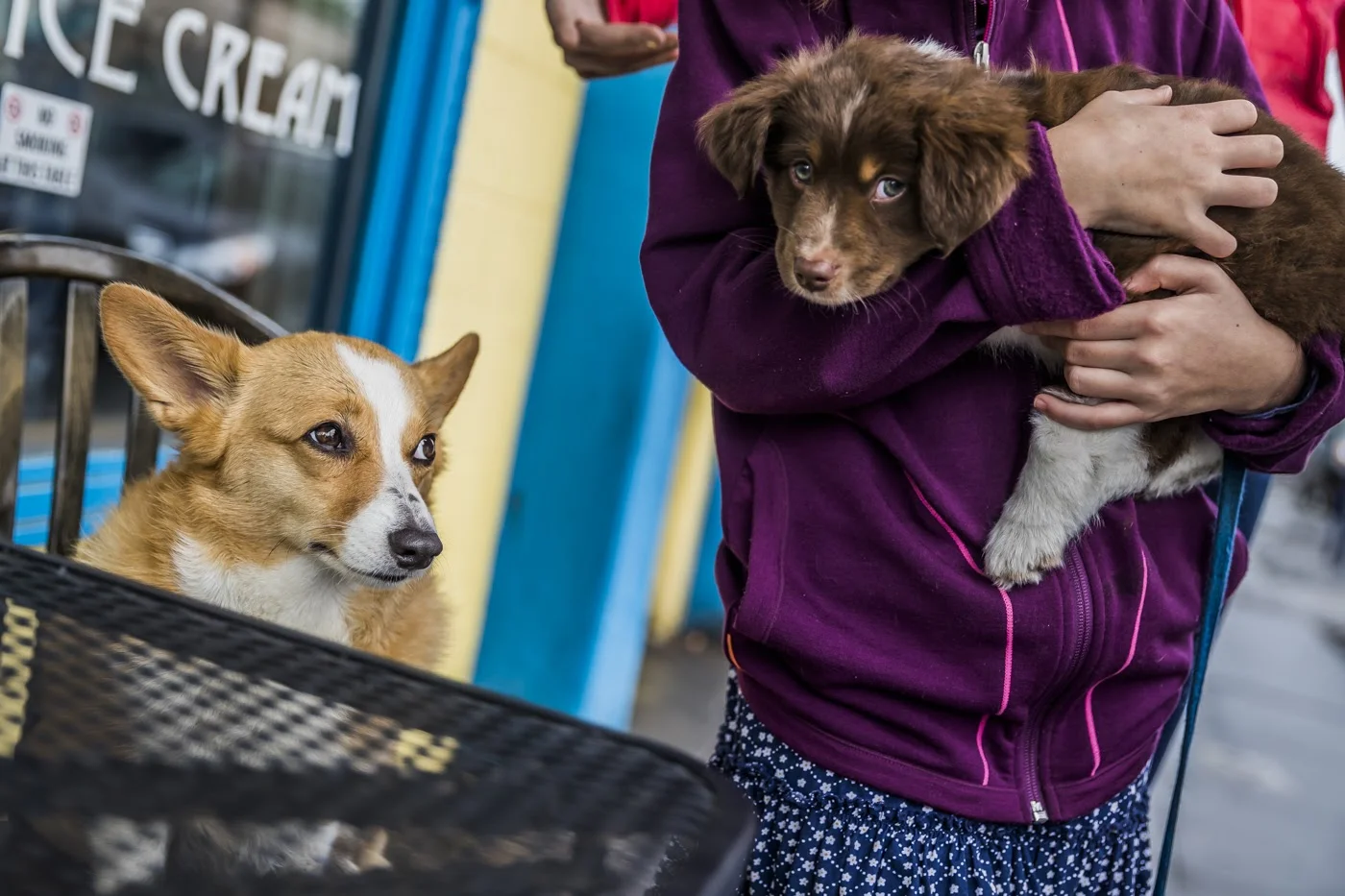  Photo by Aaron Rogosin 