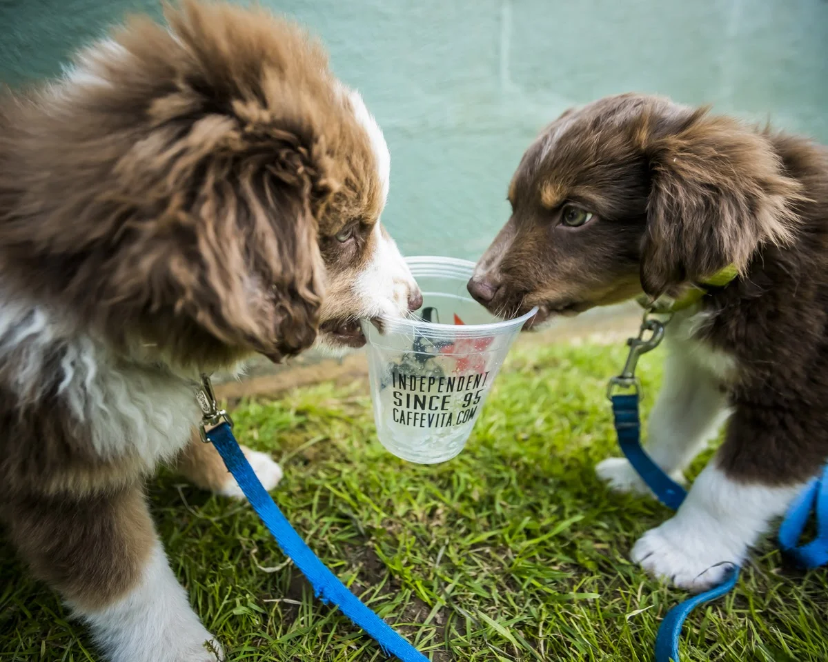  Photo by Aaron Rogosin 