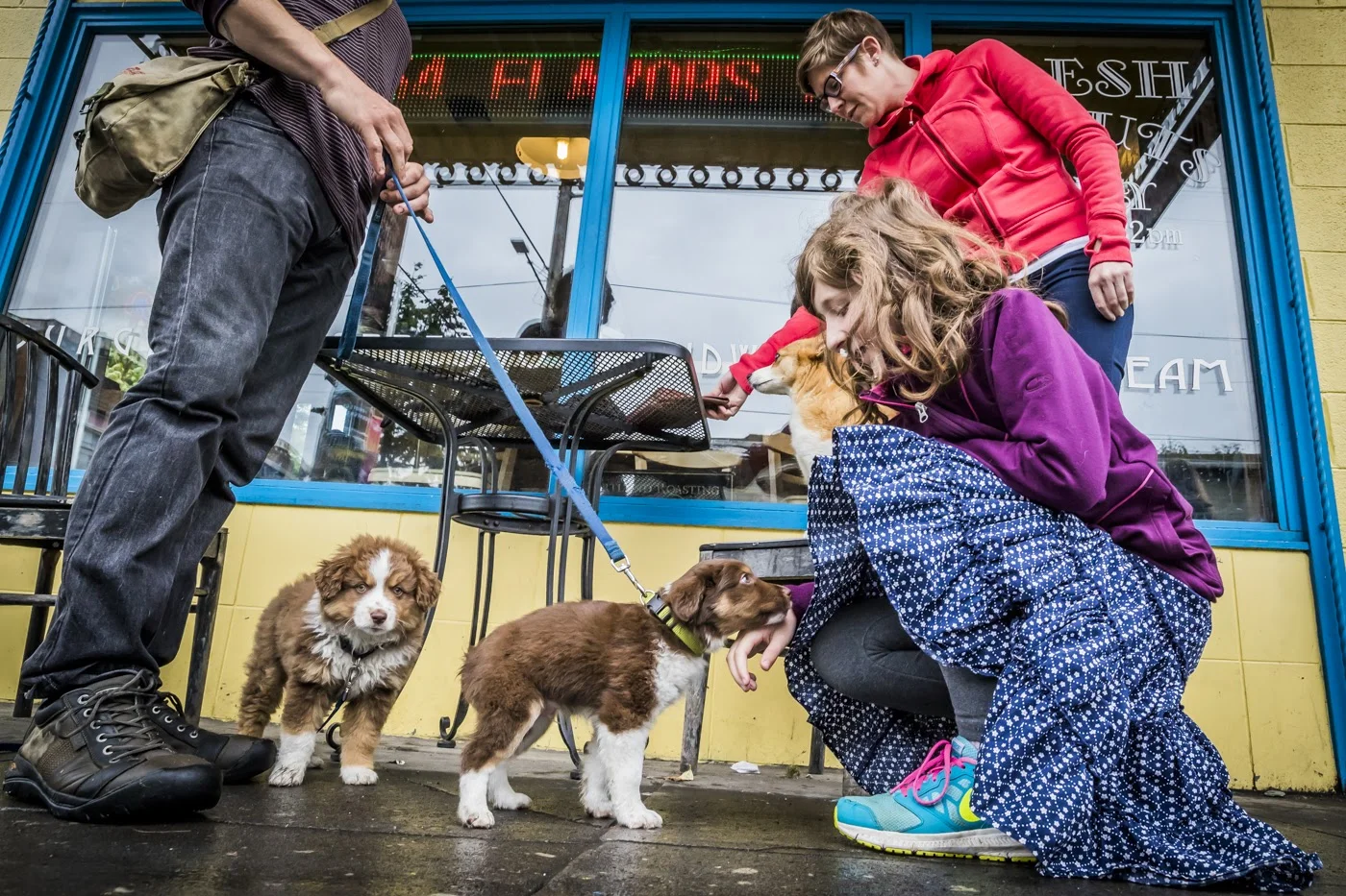  Photo by Aaron Rogosin 