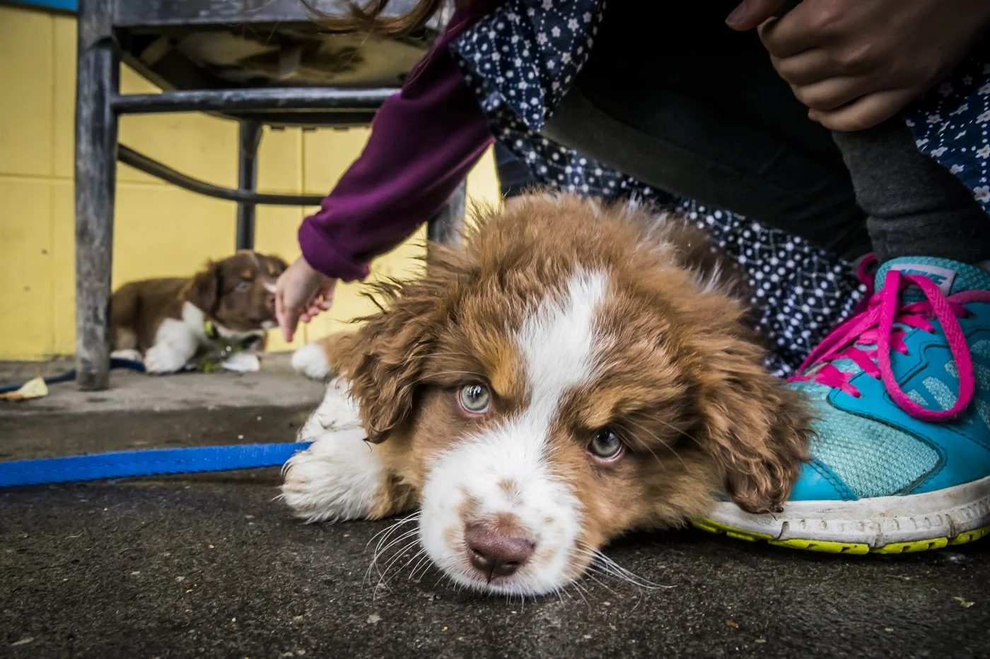  Photo by Aaron Rogosin 