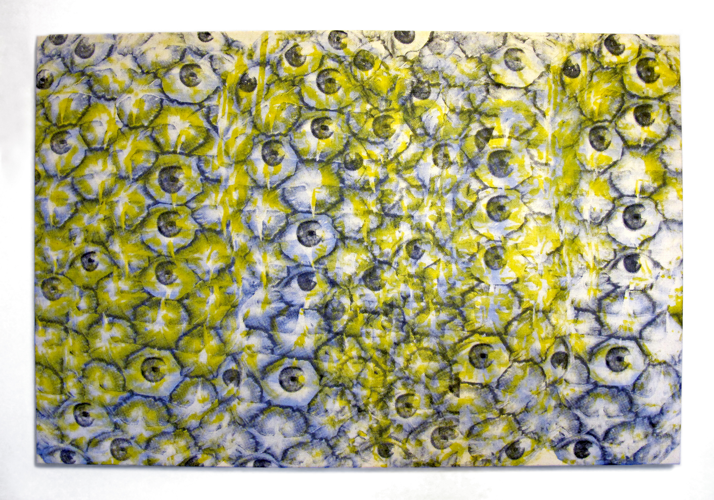   Pina Eyes , 2014.&nbsp;Silkscreen on muslin, 24" x 36" 