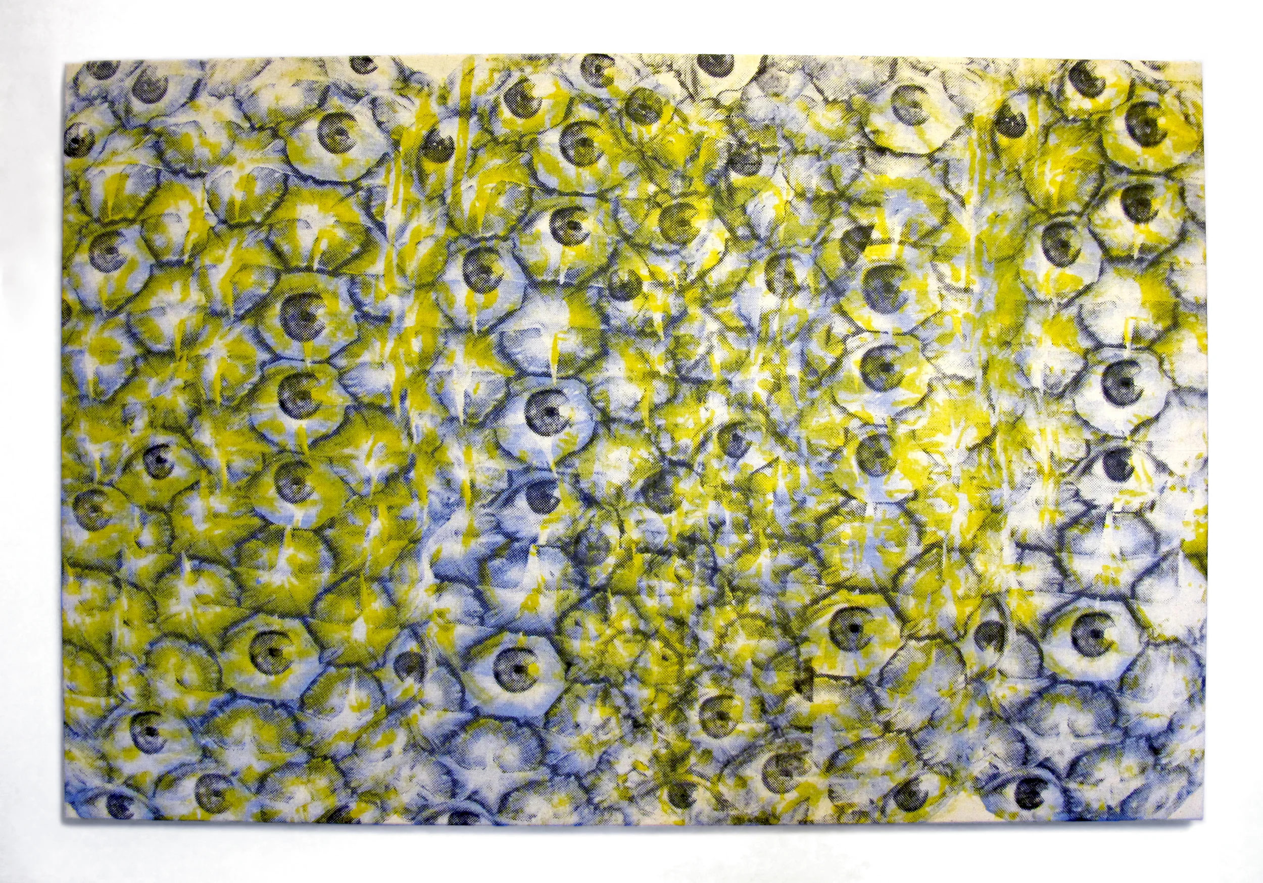 Pina Eyes , 2014. Silkscreen on muslin, 24" x 36"