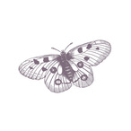 2-378185-1-146x146-0f9dc6895f36d514892f566eb554259a.jpg
