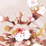 2-378185-1-154x154-e5271a6e9c0fa338aa1c9d28740b4085.png