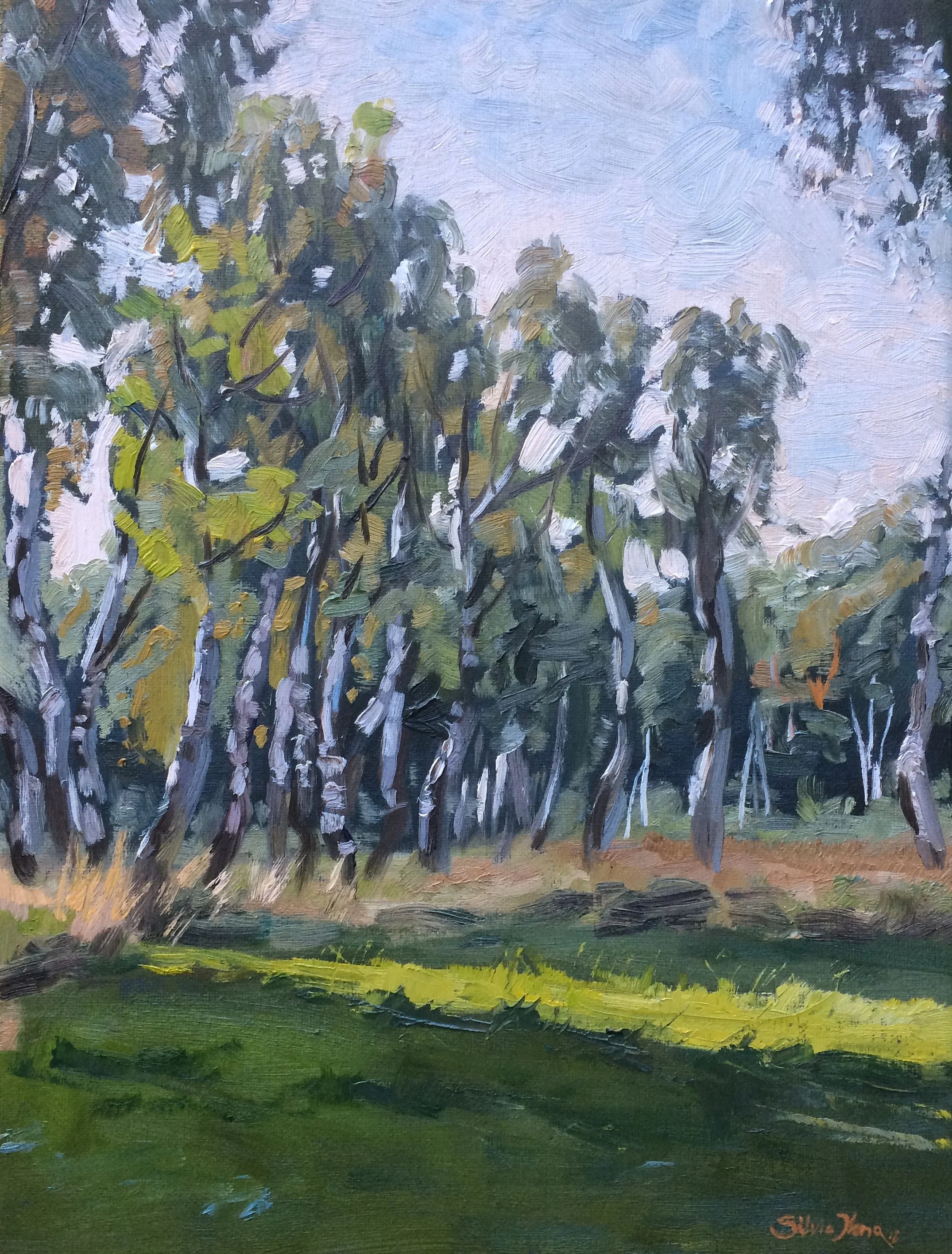 birch wood