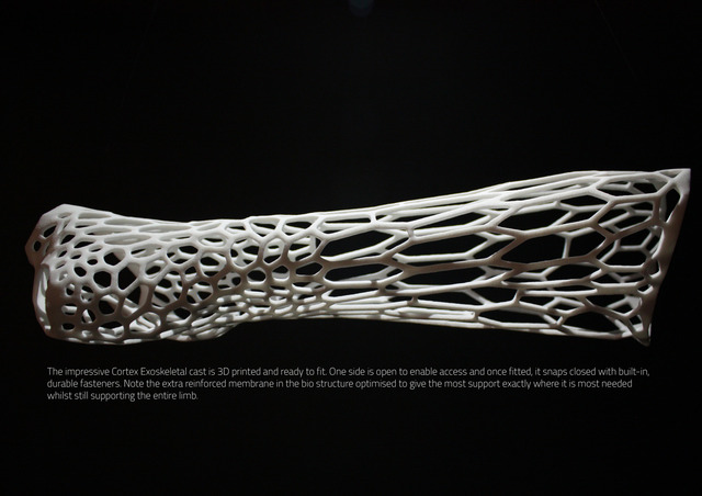 20130702-09561428-cortex2