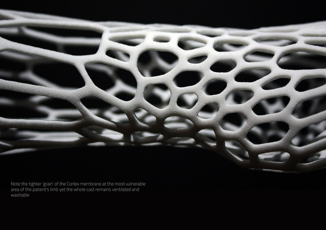 20130702-09561428-cortex4