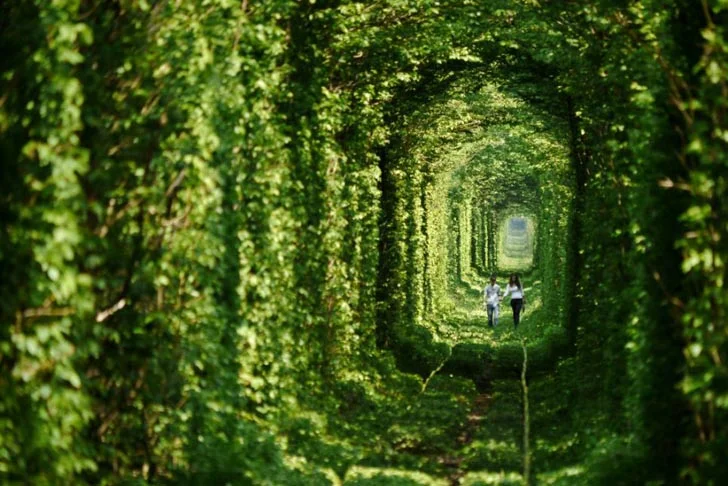 Garden-Tunnel