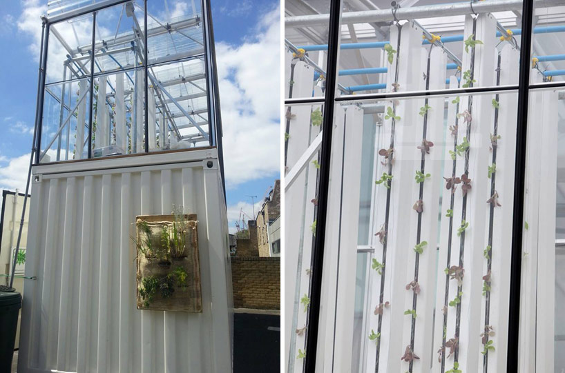 growupbox-aqua-ponic-farm-london-designboom04