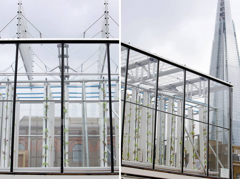 growupbox-aqua-ponic-farm-london-designboom05