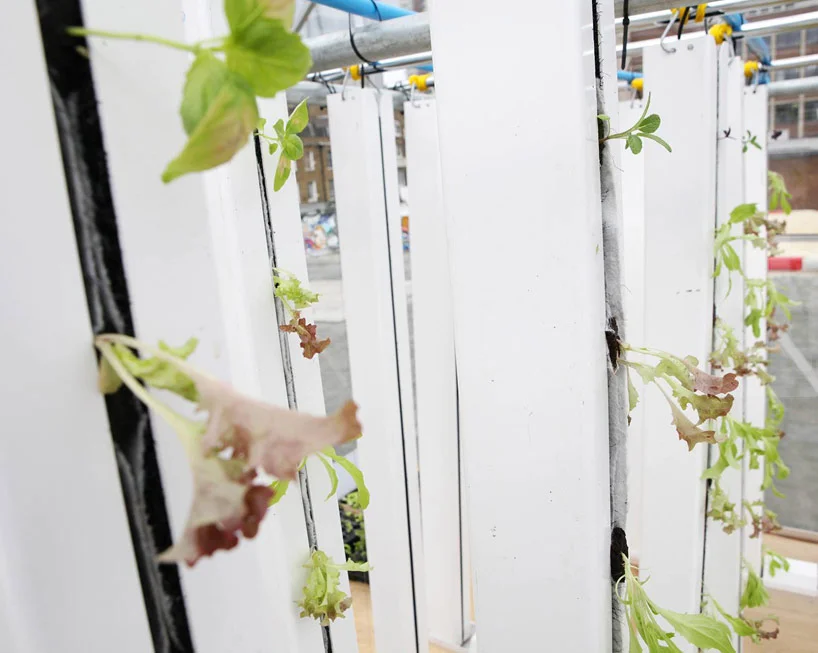 growupbox-aqua-ponic-farm-london-designboom09