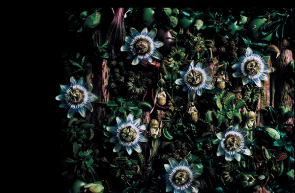 makato-azuma-botanical-sculptures-4-600x394