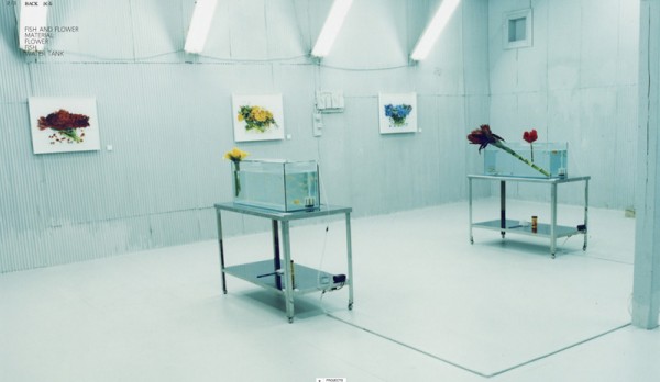 makoto-azuma-flowers-6-600x348