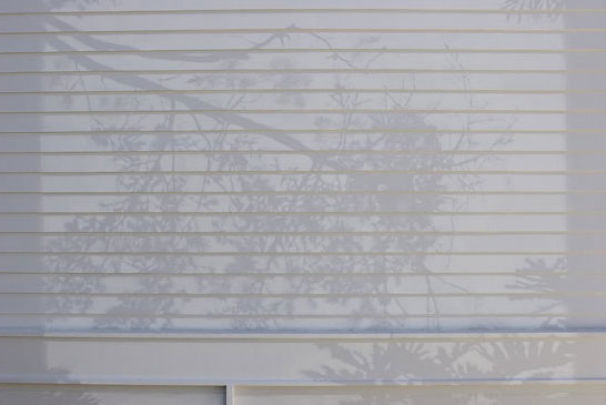 mary3-300x200